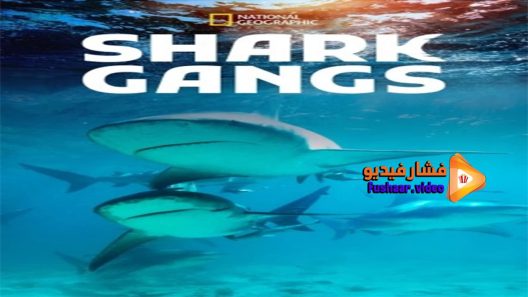 مشاهدة فيلم Shark Gangs 2021 مترجم