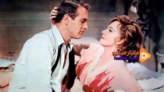 مشاهدة فيلم Sweet Bird Of Youth 1962 مترجم
