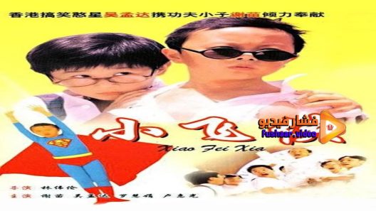 مشاهدة فيلم Teenage Master 1995 مترجم