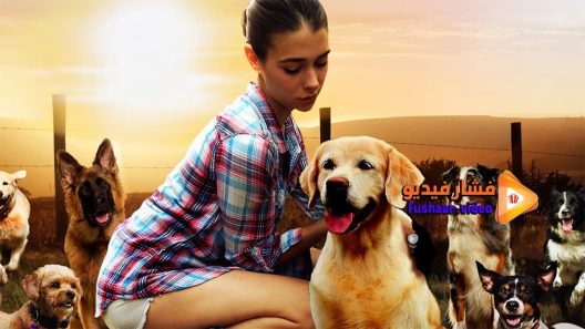 مشاهدة فيلم The Dog Lover 2016 مترجم