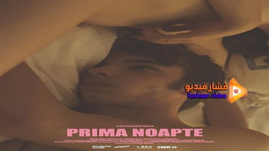 مشاهدة فيلم The First Night 2016 مترجم