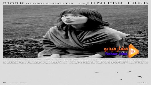 مشاهدة فيلم The Juniper Tree 1990 مترجم