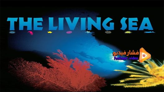 مشاهدة فيلم The Living Sea 1995 مترجم