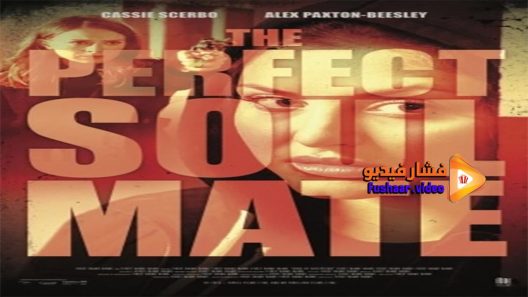 مشاهدة فيلم The Perfect Soulmate 2017 مترجم