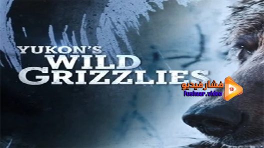 مشاهدة فيلم Yukons Wild Grizzlies 2021 مترجم