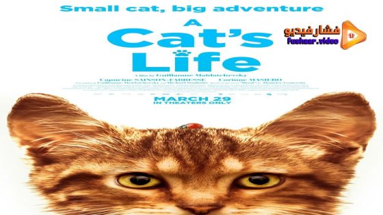 مشاهدة فيلم Mon chat et moi, la grande aventure de Rroû 2023 مترجم