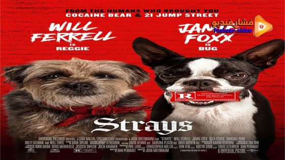مشاهدة فيلم Strays 2023 مترجم