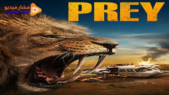 مشاهدة فيلم Prey 2024 مترجم