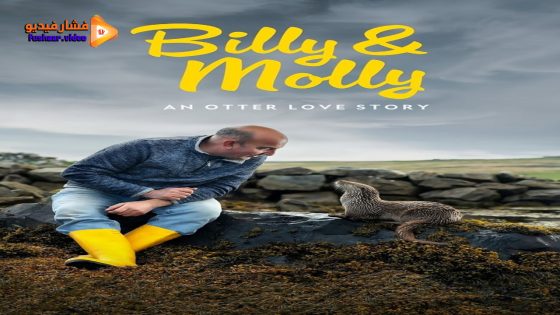 مشاهدة فيلم Billy & Molly: An Otter Love Story 2024 مترجم