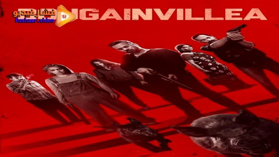 مشاهدة فيلم Bougainvillea 2024 مترجم