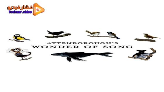 مشاهدة فيلم Attenborough’s Wonder of Song 2022 مترجم