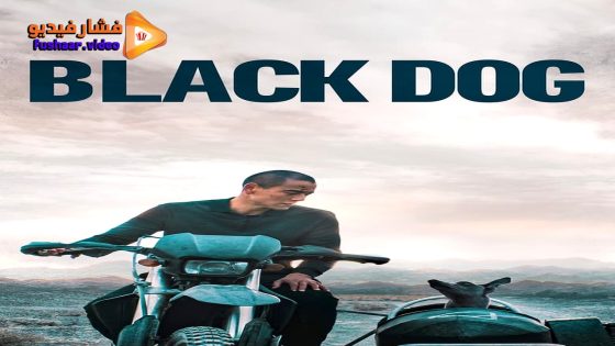 مشاهدة فيلم Black Dog 2024 مترجم