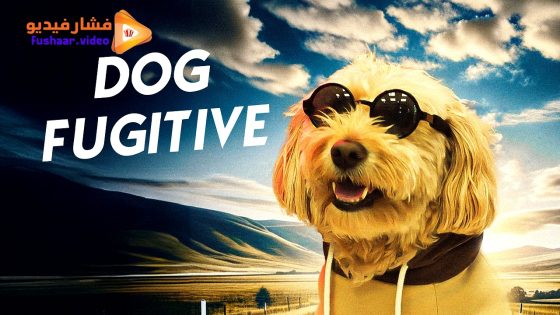 مشاهدة فيلم Dog Fugitive 2025 مترجم